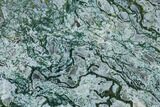 Polished Moss Agate Slab - Oregon #150595-1